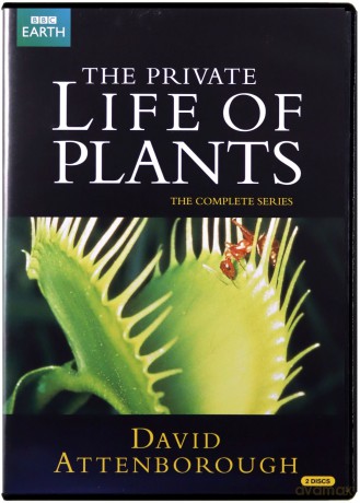 David Attenborough-The Private Life Of Plants (BBC) [DVD]