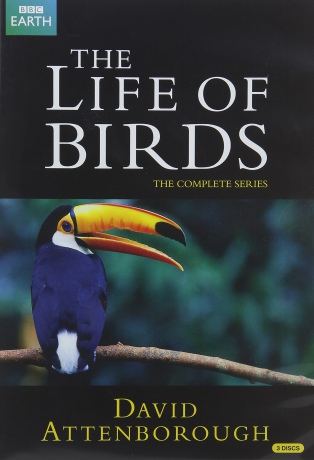 David Attenborough The Life Of Birds (BBC) [DVD]