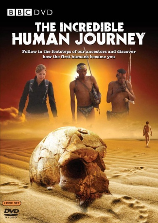 Incredible Human Journey (BBC) [DVD]