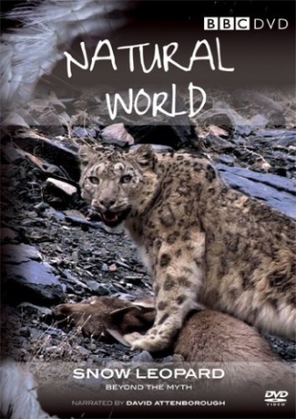 Natural World Snow Leopard (BBC) [DVD]