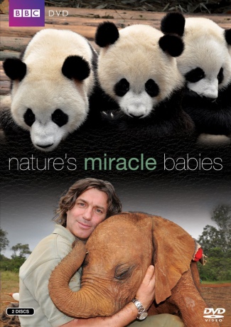 Natures Miracle Babies (BBC) [DVD]