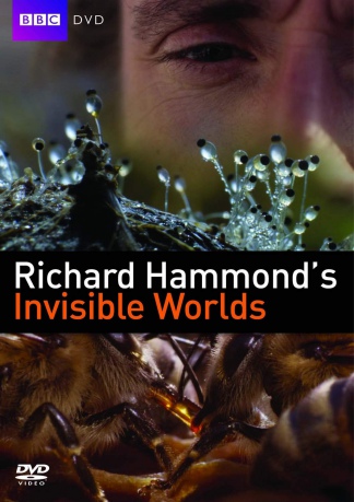 Richard Hammonds Invisible Worlds (BBC) [DVD]