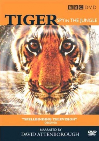 Tiger-Spy In The Jungle (BBC) [DVD]