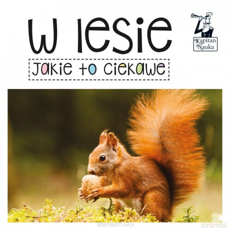 Kapitan Nauka. Jakie to ciekawe. W lesie [KSIĄŻKA]