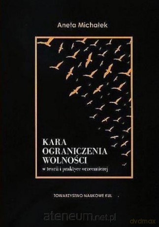 Kara ograniczenia wolności w teorii i praktyce - Aneta Michałek [KSIĄŻKA]