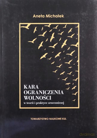 Kara ograniczenia wolności w teorii i praktyce - Aneta Michałek [KSIĄŻKA]