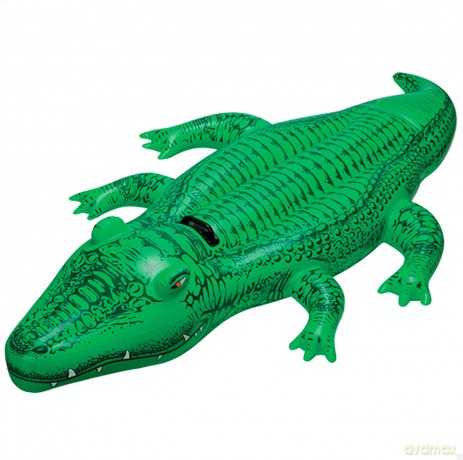 Pływający Aligator 168x86cm