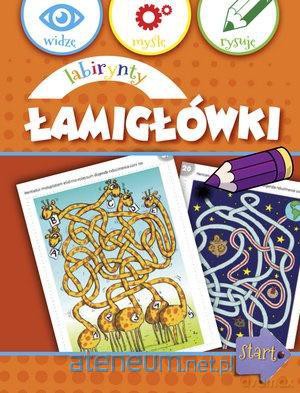 Widzę, myślę, rysuję. Labirynty łamigłówki [KSIĄŻKA]