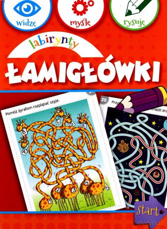 Widzę, myślę, rysuję. Labirynty łamigłówki [KSIĄŻKA]