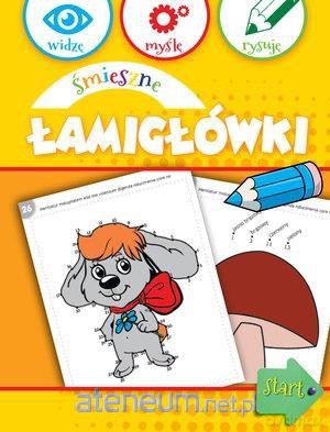 Widzę, myślę, rysuję. Śmieszne łamigłówki [KSIĄŻKA]