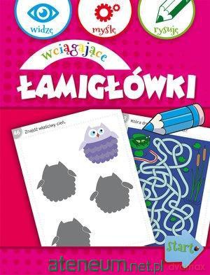 Widzę, myślę, rysuję. Wciągające łamigłówki - Anna Wiśniewska [KSIĄŻKA]