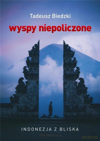 Wyspy niepoliczone. Indonezja z bliska - Tadeusz Biedzki [KSIĄŻKA]