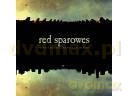 Red Sparowes: The Fear Is Excruciating, But Therein Lies The Answer [CD]