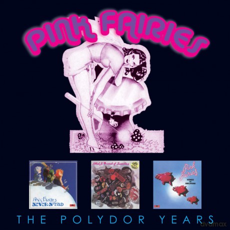 Pink Fairies: The Polydor Collection [3CD]