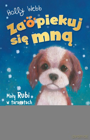 Mały Rubi w tarapatach. Zaopiekuj się mną - Holly Webb [KSIĄŻKA]