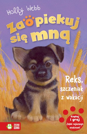 Reks szczeniak z wakacji. Zaopiekuj się mną - Holly Webb [KSIĄŻKA]