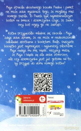 Wąsik niechciany kotek. Zaopiekuj się mną - Holly Webb [KSIĄŻKA]