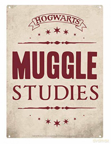 Harry Potter: Muggle Studies Ozdoba ścienna