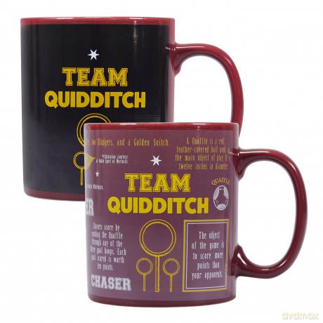 Harry Potter: Team Quidditch Kubek