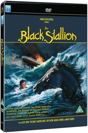 The Black Stallion (Czarny rumak) [DVD]