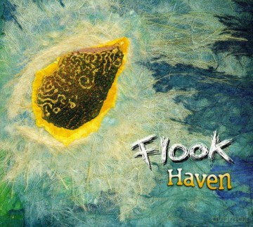 Flook: Haven [CD]