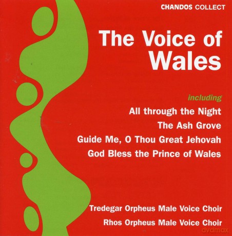Rhos Orpheus Male Voice Choir: The Voice Of Wales [CD]