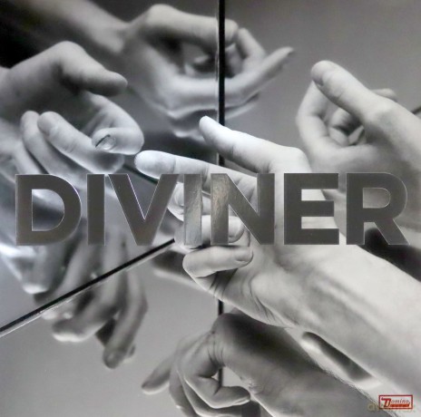 Hayden Thorpe: Diviner [Winyl]