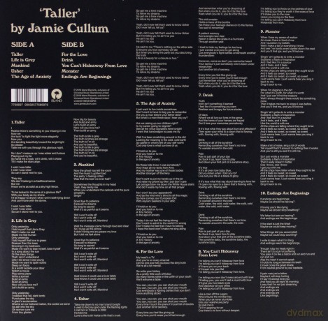 Jamie Cullum: Taller [Winyl]