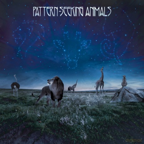 Pattern-Seeking Animals: Pattern-Seeking Animals [2xWinyl]+[CD]