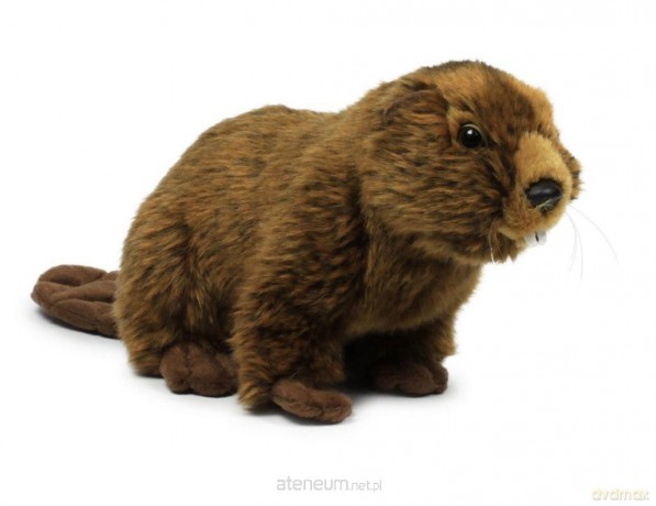 Bóbr 23 cm