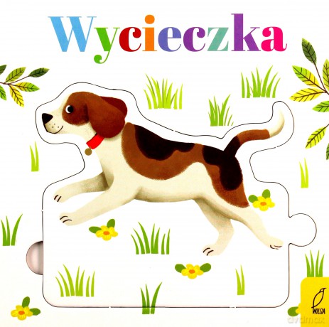 Czytanki-układanki. Wycieczka [KSIĄŻKA]