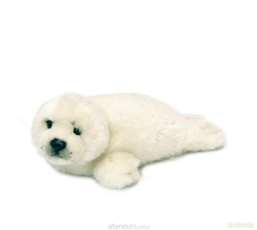 Foka 24 cm