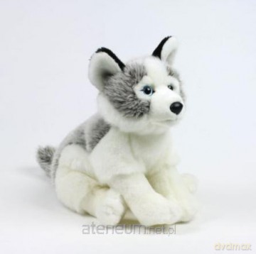 Husky 23 cm