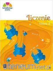 Kalejdoskop ucznia. Liczenie kl. 3 - Anna Kulesza [KSIĄŻKA]