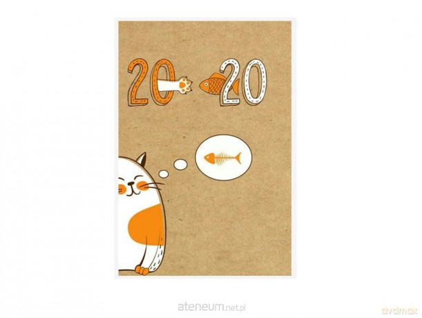 Kalendarz tygodniowy B6 2019-2020 Kot kraft [KALENDARZ]