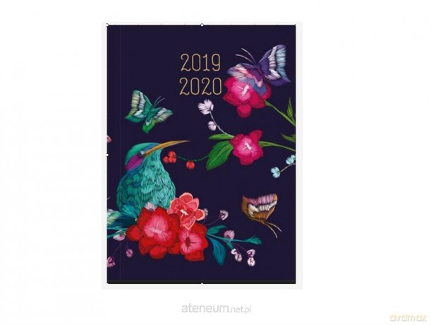 Kalendarz tygodniowy B6 2019-2020 Zimorodek [KALENDARZ]