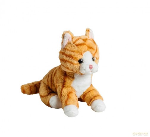 Kot rudy 20 cm