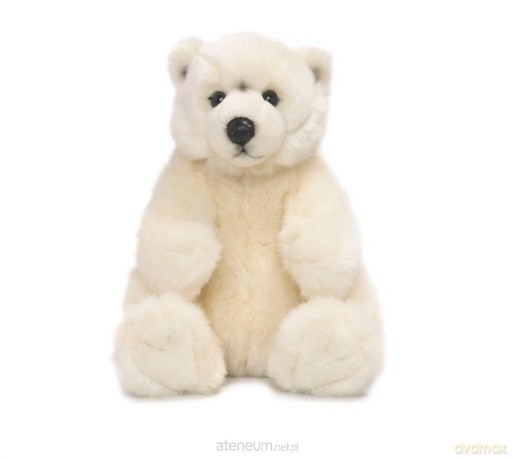 Niedźwiedź polarny siedzący 22 cm