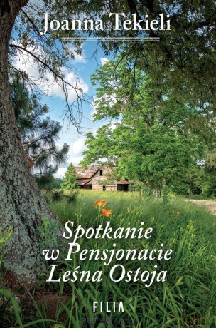 Spotkanie w Pensjonacie Leśna Ostoja - Joanna Tekieli [KSIĄŻKA]