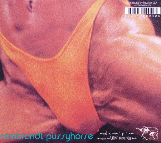Butthole Surfers: Rembrandt Pussyhorse [CD]