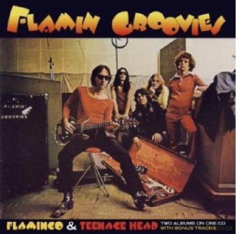 Flamin' Groovies: Flamingo/Teenage Head [CD]