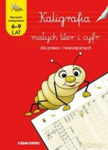 Kaligrafia małych liter i cyfr [KSIĄŻKA]
