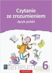 Język polski Szkoła podstawowa 6 Czytanie ze zrozumieniem - Beata Surdej, Andrzej Surdej [KSIĄŻKA]