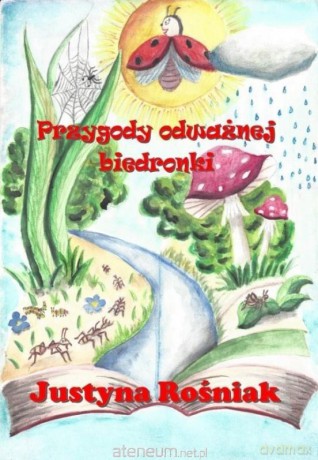 Przygody odważnej biedronki - Justyna Rośniak [KSIĄŻKA]