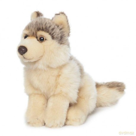 Wilk 15 cm