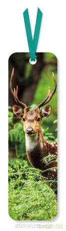 Zakładka do książki Chital Deer