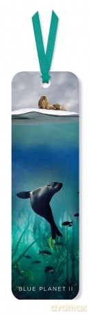 Zakładka do książki Galapagos Sea Lion