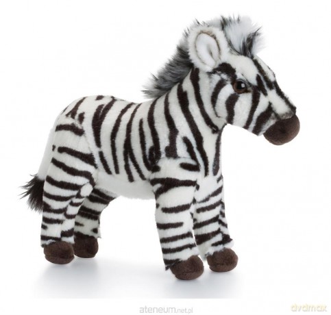 Zebra 23 cm