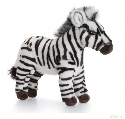 Zebra 23 cm