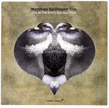 Matthias Spillmann Trio: Live At The Bird's Eye Jazz Club [CD]